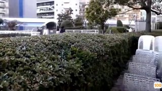 饥饿派画家早期调教母狗记录